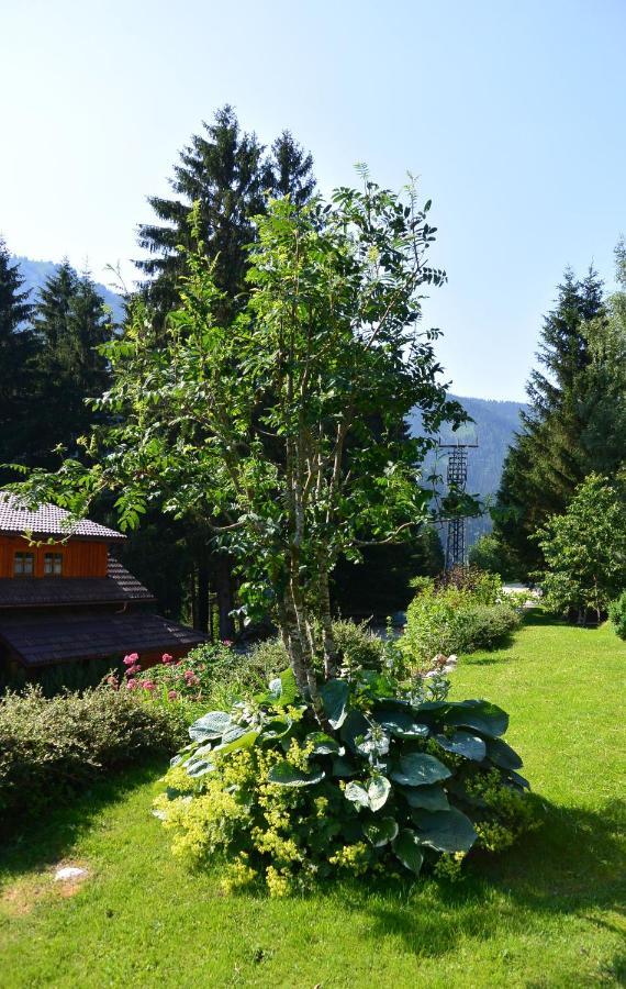 Die Kalsbergerin Ferienwohnung Fuer Geniesser ดอนเนอร์สบาควัลด์ ภายนอก รูปภาพ